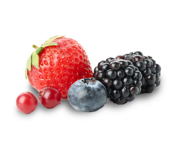 Frutti di bosco rossi