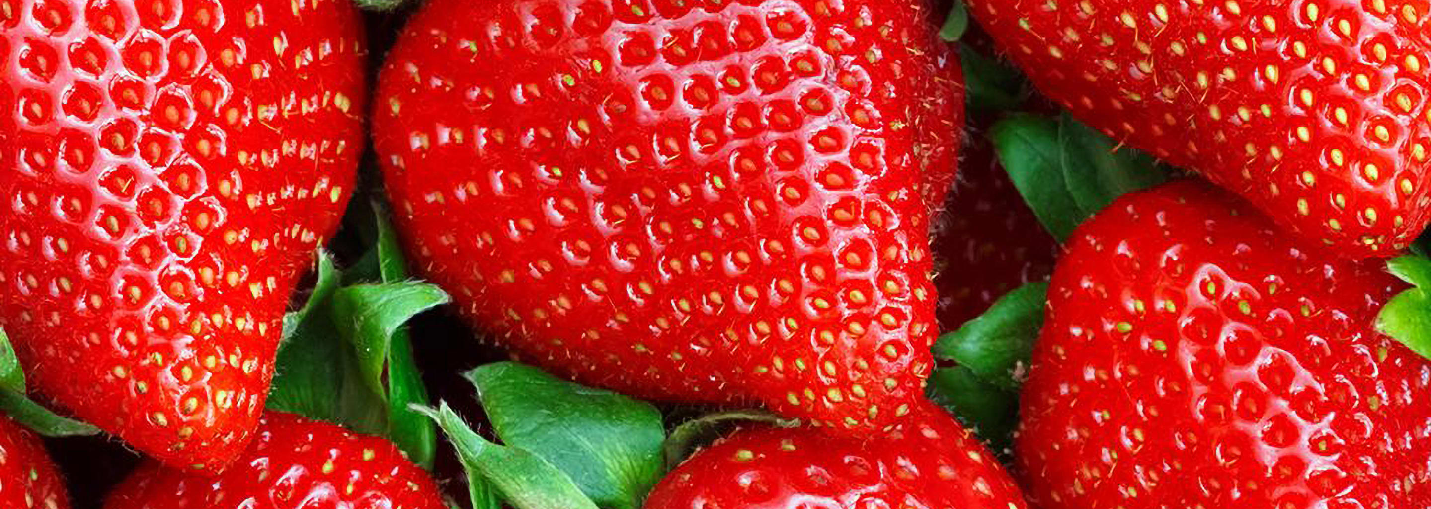 Sai in che stagione maturano le Fragole?