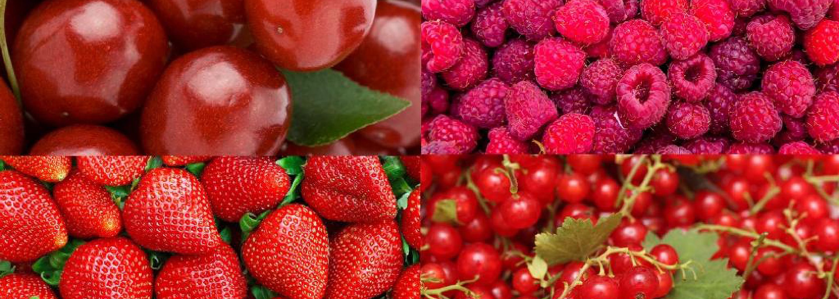 Sai in che stagione maturano i Frutti Rossi?