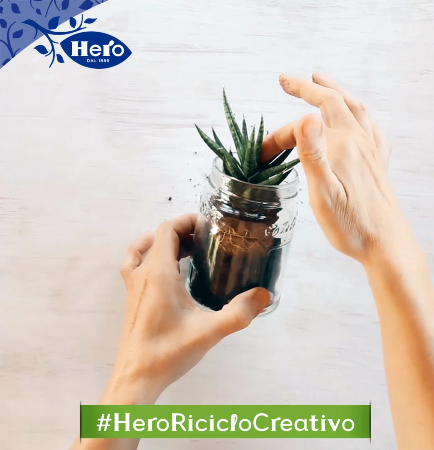 piantina-per-vasetto-sospeso-hero-riciclo-creativo