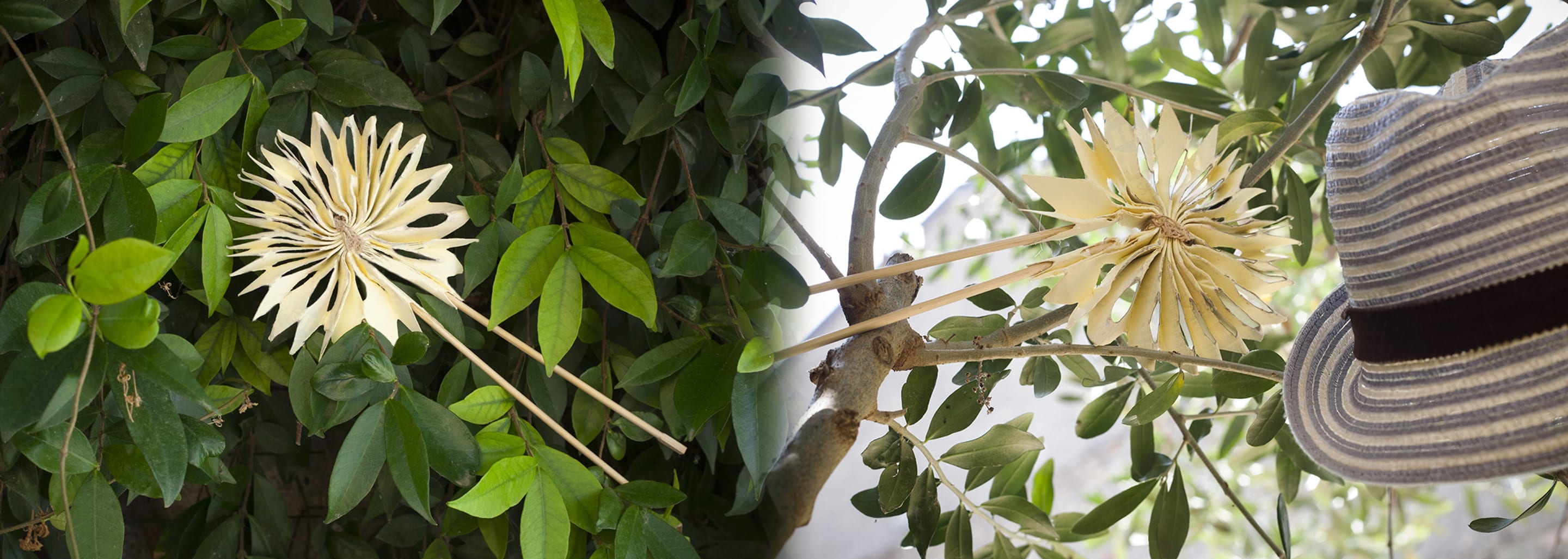 Riuso barrette ai cereali