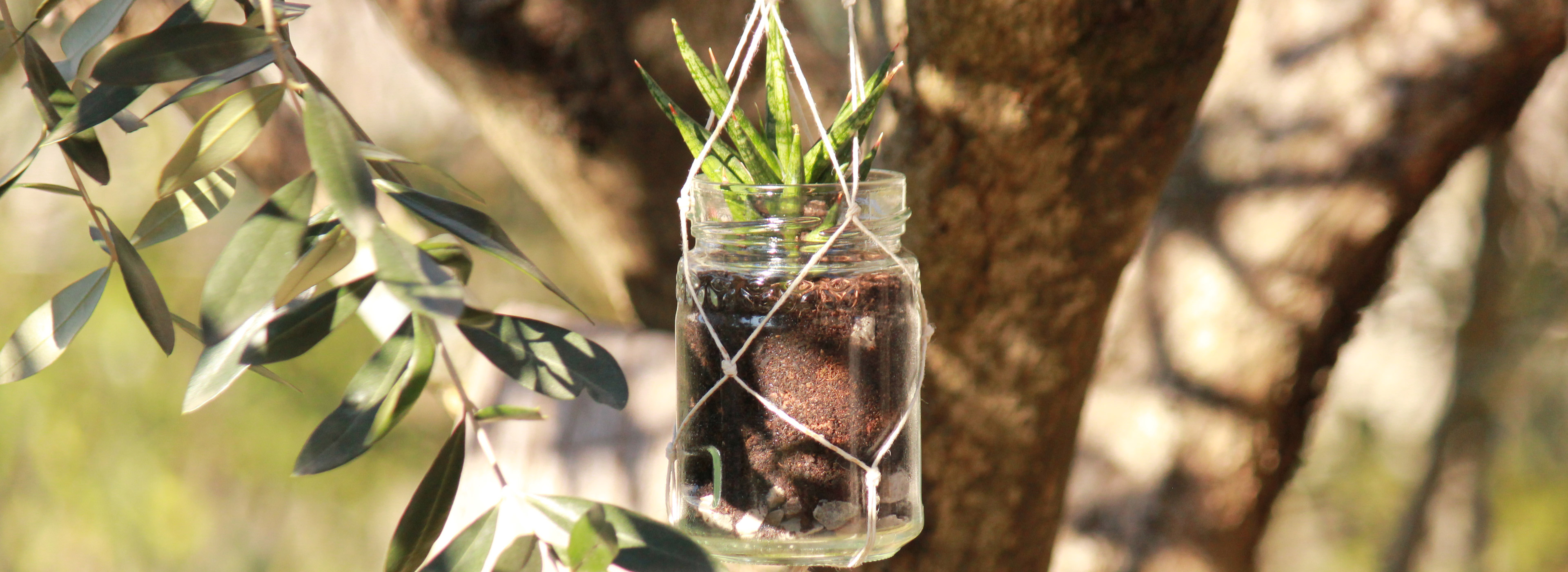 riciclo creativo riuso vasetto marmellata vaso sospeso